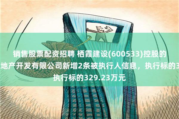 销售股票配资招聘 栖霞建设(600533)控股的南京星汇房地产开发有限公司新增2条被执行人信息，执行标的329.23万元