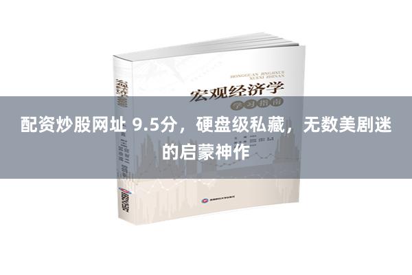 配资炒股网址 9.5分，硬盘级私藏，无数美剧迷的启蒙神作