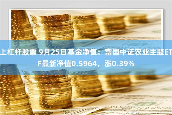 上杠杆股票 9月25日基金净值：富国中证农业主题ETF最新净值0.5964，涨0.39%