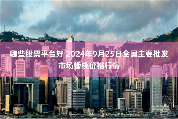 哪些股票平台好 2024年9月25日全国主要批发市场蟠桃价格行情