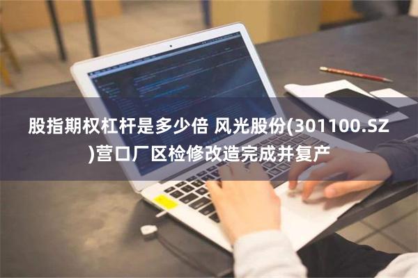 股指期权杠杆是多少倍 风光股份(301100.SZ)营口厂区检修改造完成并复产