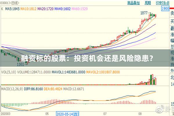融资标的股票：投资机会还是风险隐患？