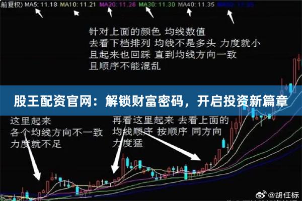 股王配资官网：解锁财富密码，开启投资新篇章