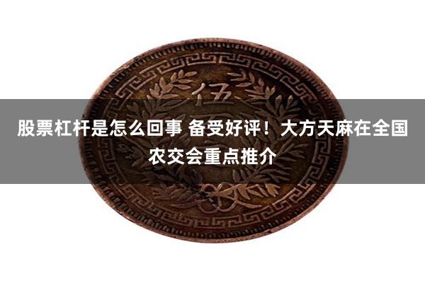 股票杠杆是怎么回事 备受好评！大方天麻在全国农交会重点推介