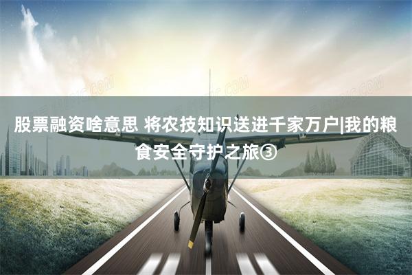 股票融资啥意思 将农技知识送进千家万户|我的粮食安全守护之旅③