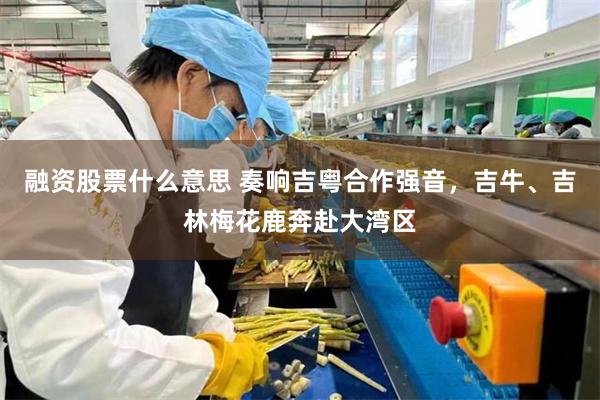 融资股票什么意思 奏响吉粤合作强音，吉牛、吉林梅花鹿奔赴大湾区
