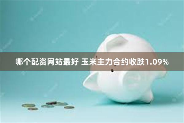 哪个配资网站最好 玉米主力合约收跌1.09%