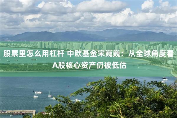 股票里怎么用杠杆 中欧基金宋巍巍：从全球角度看 A股核心资产仍被低估