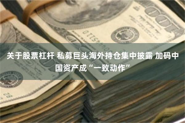 关于股票杠杆 私募巨头海外持仓集中披露 加码中国资产成“一致动作”