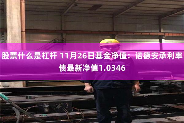 股票什么是杠杆 11月26日基金净值：诺德安承利率债最新净值1.0346
