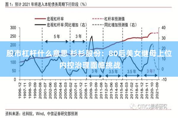 股市杠杆什么意思 杉杉股份：80后美女继母上位 内控治理面临挑战