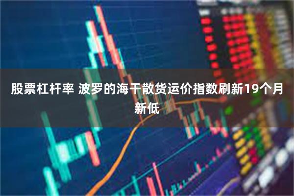 股票杠杆率 波罗的海干散货运价指数刷新19个月新低
