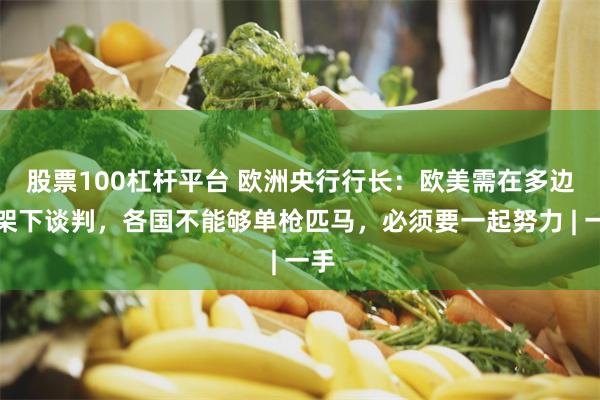 股票100杠杆平台 欧洲央行行长：欧美需在多边框架下谈判，各国不能够单枪匹马，必须要一起努力 | 一手