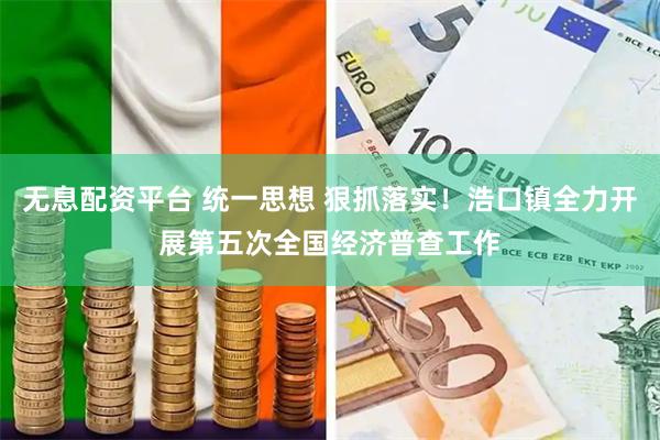 无息配资平台 统一思想 狠抓落实！浩口镇全力开展第五次全国经济普查工作