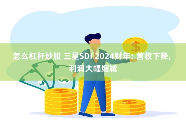 怎么杠杆炒股 三星SDI 2024财年: 营收下降, 利润大幅缩减