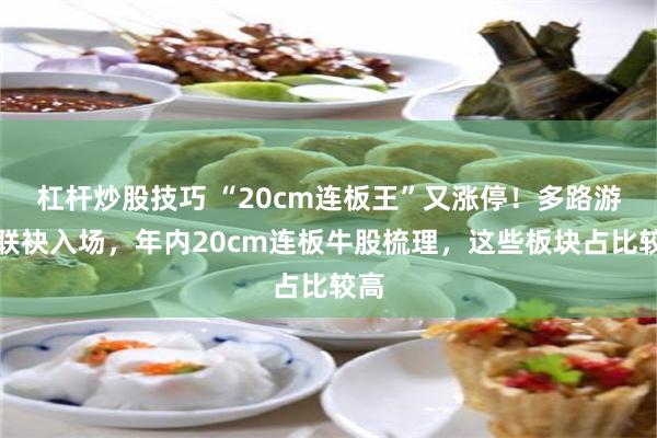 杠杆炒股技巧 “20cm连板王”又涨停！多路游资联袂入场，年内20cm连板牛股梳理，这些板块占比较高