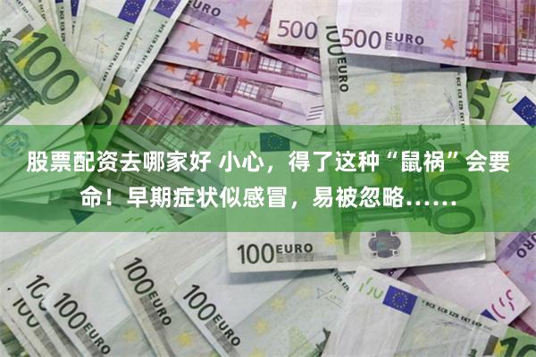 股票配资去哪家好 小心，得了这种“鼠祸”会要命！早期症状似感冒，易被忽略……