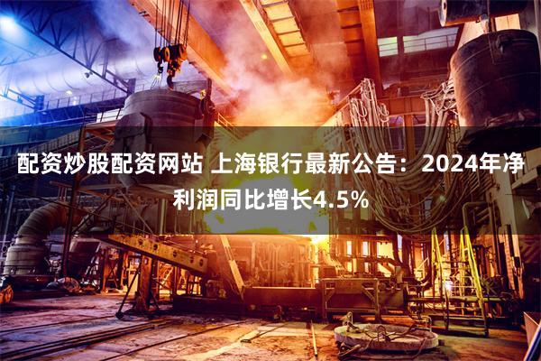 配资炒股配资网站 上海银行最新公告：2024年净利润同比增长4.5%
