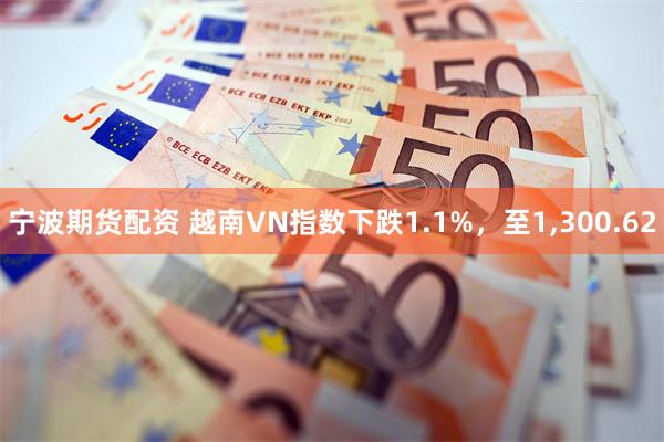 宁波期货配资 越南VN指数下跌1.1%，至1,300.62