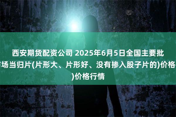 西安期货配资公司 2025年6月5日全国主要批发市场当归片(片形大、片形好、没有掺入股子片的)价格行情