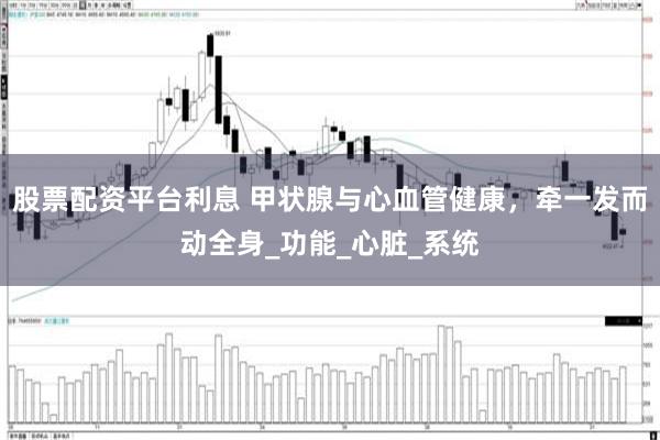 股票配资平台利息 甲状腺与心血管健康，牵一发而动全身_功能_心脏_系统