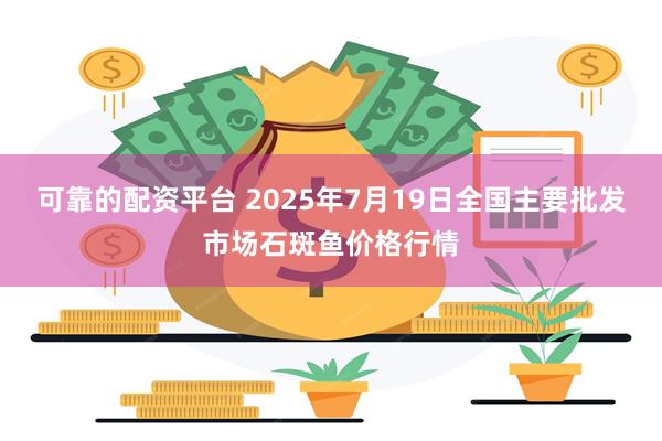 可靠的配资平台 2025年7月19日全国主要批发市场石斑鱼价格行情