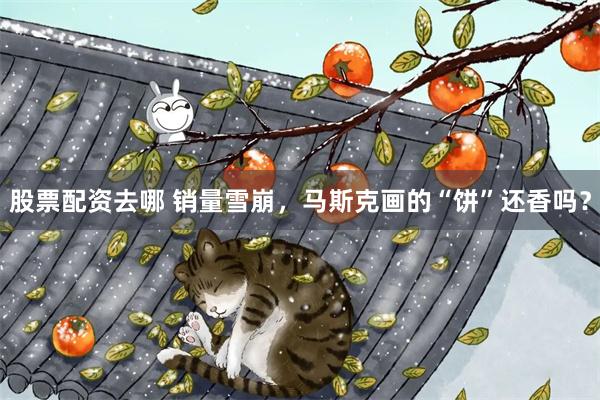 股票配资去哪 销量雪崩，马斯克画的“饼”还香吗？