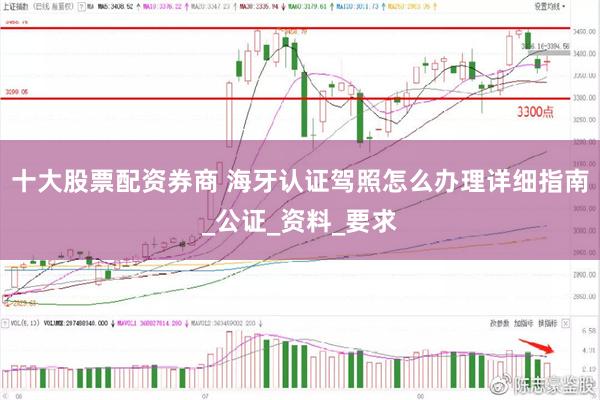 十大股票配资券商 海牙认证驾照怎么办理详细指南_公证_资料_要求