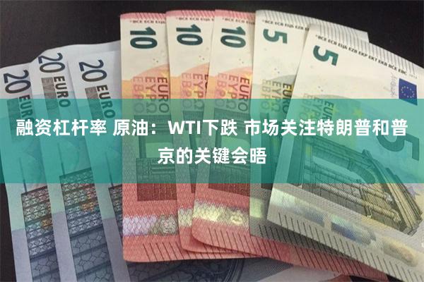 融资杠杆率 原油：WTI下跌 市场关注特朗普和普京的关键会晤