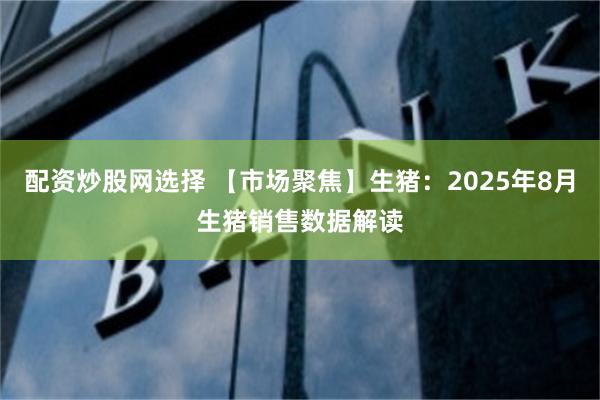 配资炒股网选择 【市场聚焦】生猪：2025年8月生猪销售数据解读
