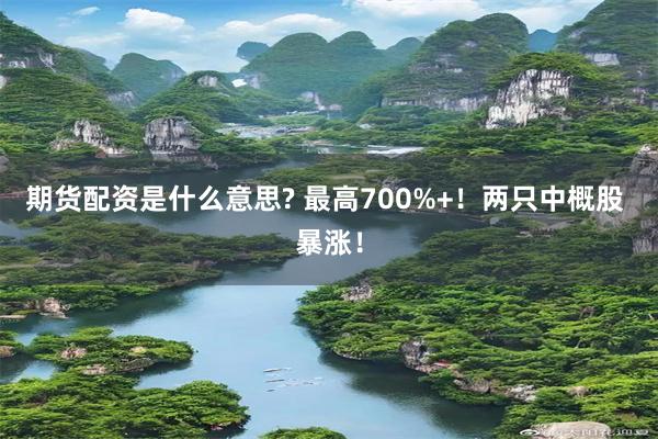 期货配资是什么意思? 最高700%+！两只中概股 暴涨！